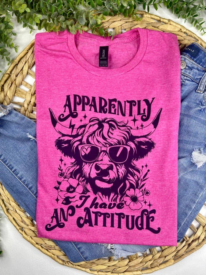 Apparently I Have an Attitude (T-Shirt): Gildan Softstyle Indigo / 2X